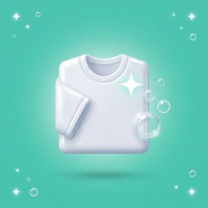 Category Laundary